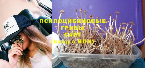 винт Алзамай