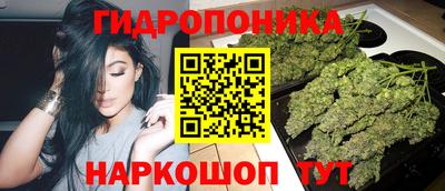 гидра Кингисепп