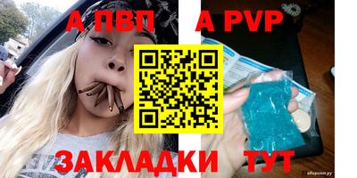 гидра Кингисепп