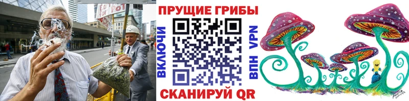 Галлюциногенные грибы Psilocybine cubensis Лабинск