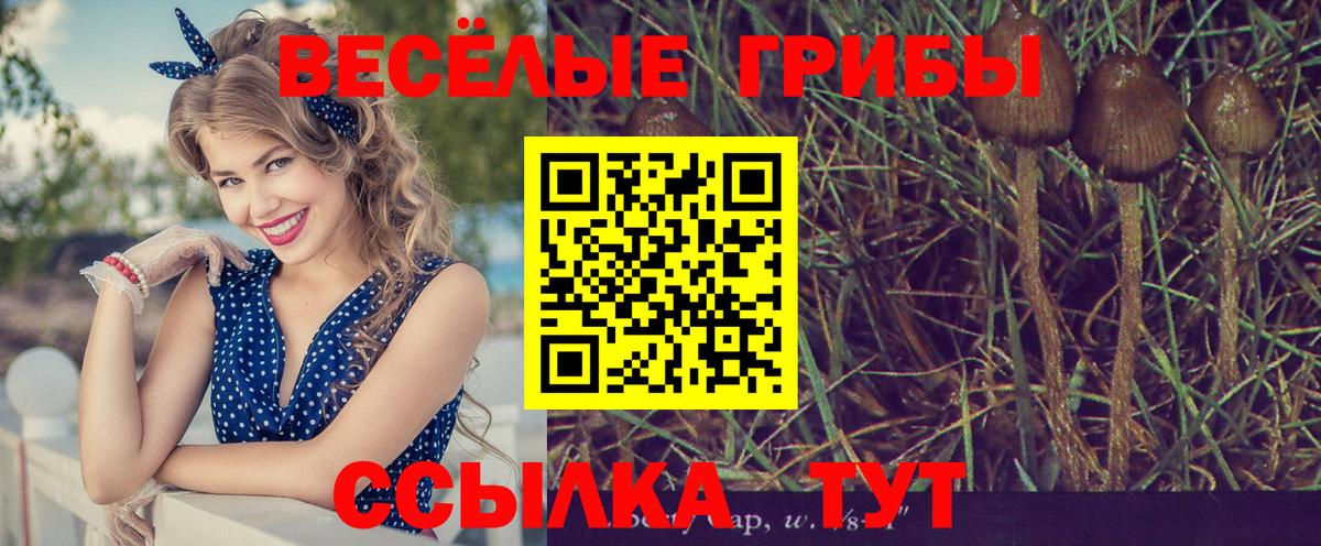 Галлюциногенные грибы Psilocybe  Вход с VPN  Лабинск  Псилоцибиновые грибы мухоморы 
