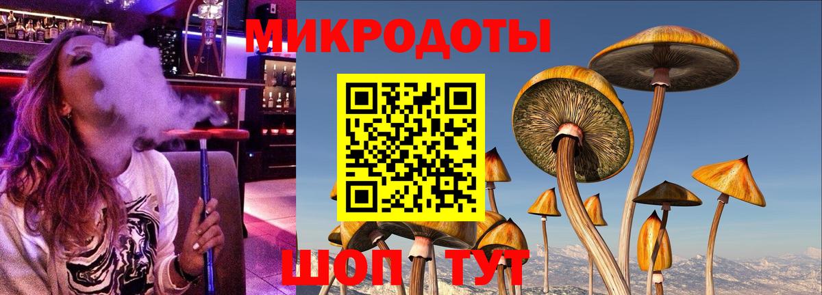 Галлюциногенные грибы Psilocybe Лабинск